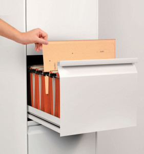 ELBA ULTIMATE Chemises 2 rabats, format A4, vert