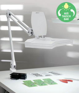 MAUL luminaie LED MAULvitrum, pince, blanc , modèle de