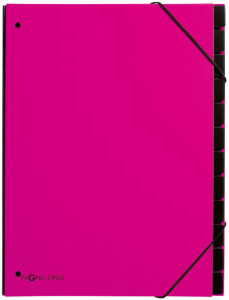 Pagna tendance du dossier du panneau, A4, 12 compartiments, violet