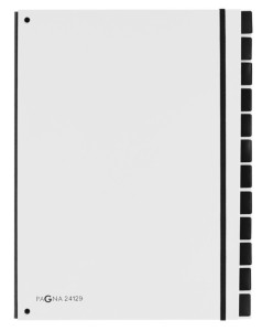 Pagna tendance du dossier du panneau, A4, 12 compartiments, violet