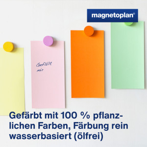 magnetoplan carte de modération rectangulaire, 200 x 100 mm