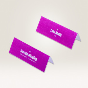 AVERY Zweckform cartes chevalets pour imprimante Laser/