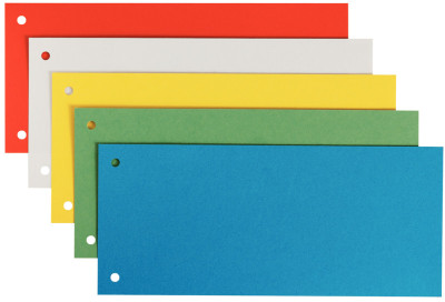 LEITZ Intercalaires pour format A4 couleurs assorties en carton 240 x 105 mm