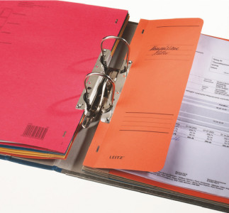 LEITZ Chemise à crochets, format A4, carton manilla, gris