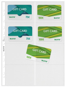 LEITZ pochette perforée pour 16 cartes de visite, format A4,