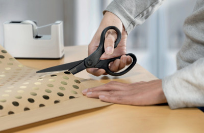 LEITZ ciseaux titane anti-adhésive, pointu, longueur: 205 mm, noir