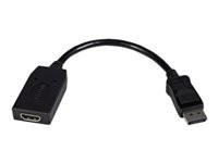 Startech : DISPLAYPORT TO HDMI VIDEO CONVERTER