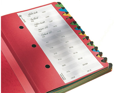 LEITZ Trieur Deskorganizer Color, format A4, 1-24/A-Z, noir