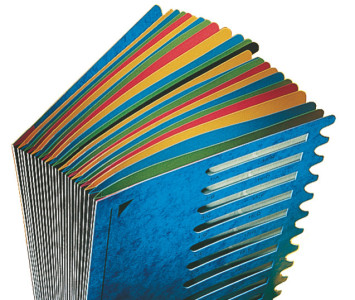 LEITZ Trieur Deskorganizer Color, format A4, 1-24/A-Z, noir