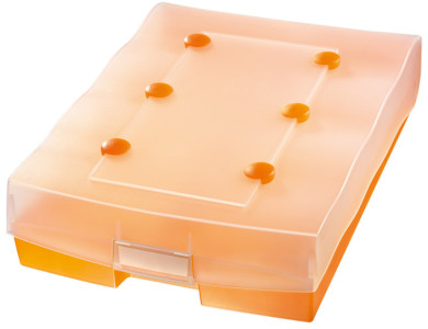 HAN Boîte à fiches CROCO DUO, A8, boîte: orange translucide