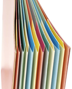 extendos Trieur à élastique série 223,12 compartiments,jaune