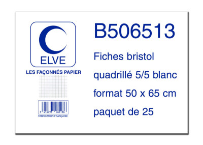 ELVE Fiches bristol quadrillées 5/5, 500 x 650 mm, 25 fiches