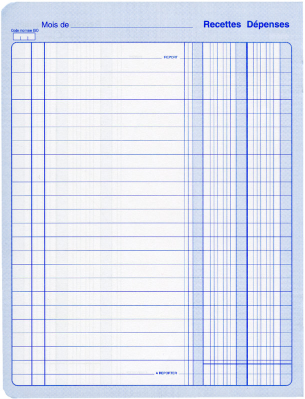 ELVE Cahier piqué Recettes - Dépenses, 220 x 170 mm