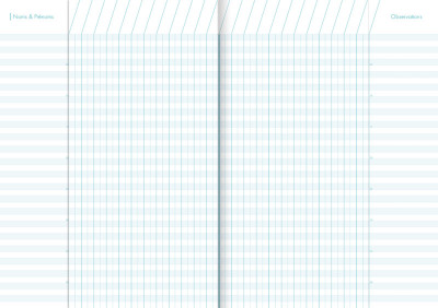 Clairefontaine Cahier de bord pour enseignant, A4, 48 pages