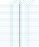 Clairefontaine Carnet de bord pour enseignant, 85 x 200 mm Clairefontaine Carnet de bord pour enseignant, 85 x 200 mm