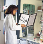 tarifold tdisplay Poches à pivot Sterifold Inox, A4, noir