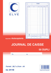 ELVE Journal de caisse, 297 x 210 mm, dupli