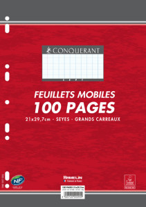 CONQUERANT SEPT Feuillets mobiles 210 x 297 mm, seyès, 90 gr
