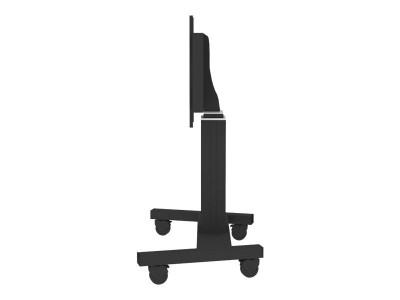 NewStar : MOTORIZED RAL 9005 BLK 42-100IN 200X200/800 X 600 MAX 150KG