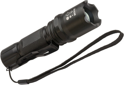 brennenstuhl Lampe poche LED LuxPremium Focus TL 250F, IP44