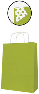 agipa Sac cadeau, (L)250 x (P)110 x (H)310 mm, kraft vert