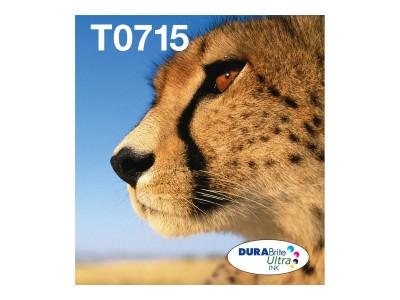 Epson : T071 EASYMAIL MULTIpack .