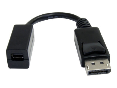 Startech : 6IN DISPLAYPORT TO MINI DISPLAYPORT VIDEO cable ADAPTER