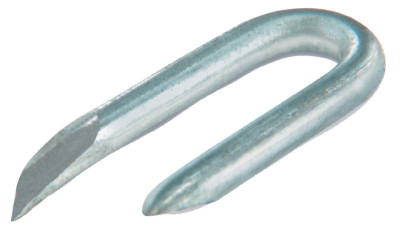 Suki. Fil Krampe 3,1 x 31 mm, en acier galvanisé, 400 g