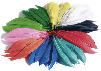 folia Plumes d'indiens, 10 g, couleurs assorties