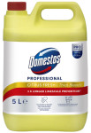 Nettoyant hygiénique Domestos professionnel, agrumes frais, 5 litres