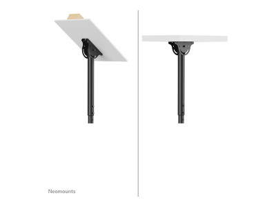 NewStar : FLAT SCREEN CEILING MOUNT 32 - 60IN BLACK