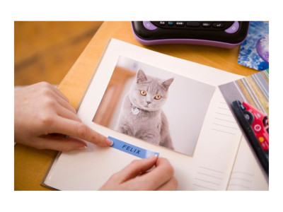 Brother TZE-531 ruban laminé P-Touch 12mm 8M Noir sur Bleu