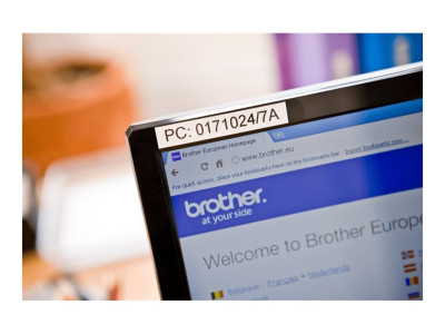 Brother TZE-231 ruban laminé P-Touch 12mm 8M Noir sur Blanc