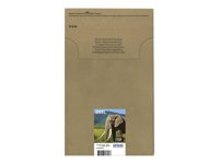 Epson : MLT.PCK 6-COLOURS 24XL EASYMAIL BLCK/CY+LIGHT/MG+LIGHT/Y/ RS BL.