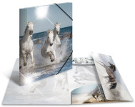 Chemise d'angle HERMA « Girafe », PP brillant, DIN A4