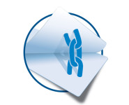 HERMA Etiquettes de plaque signalétique SPECIAL, 63,5x29,6mm HERMA Etiquettes de plaque signalétique SPECIAL, 63,5x29,6mm