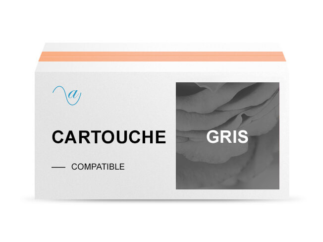 ALT : Cartouche d'encre Gris Compatible (avec puce) alternative à Canon CLI-526GY
