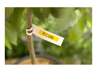 Brother TZE-621 ruban laminé P-Touch 9MM 8M Noir sur Jaune