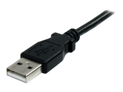 Startech : 6IN USB 2.0 extension ADAPTER cable - A TO A