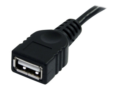 Startech : 6FT BLACK USB 2.0 extension cable A TO A - M pour