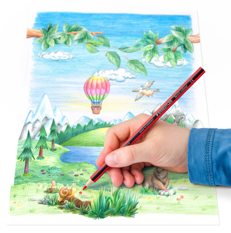 STAEDTLER Crayons de couleur Noris Colour, étui en carton de