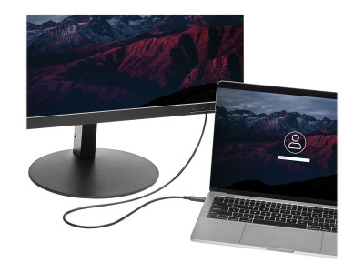 Startech : 1M / 3FT USB C TO MINI DP cable - 4K 60HZ - BLACK