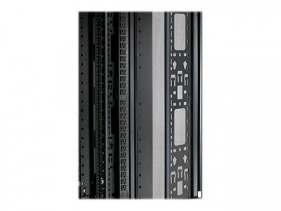 APC : NETSHELTER SX 42U VERTICAL PDU MOUNT et cable ORGANIZER