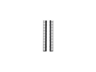 APC : VERTICAL cable MANAGER pour SX 600MM 42U QTY. 2