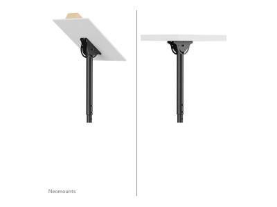 NewStar : CEILING MOUNT DUAL 32-60IN TILT/ROTATE BLACK