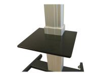 NewStar : LAPTOP SHELF pour PLASMA-M2500 avec 2500 BLACK NewStar : LAPTOP SHELF pour PLASMA-M2500 avec 2500 BLACK