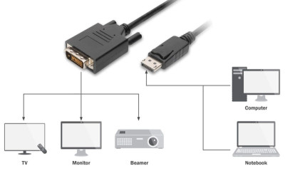 DIGITUS Câble adaptateur, DisplayPort - DVI-D, 2,0 m, noir