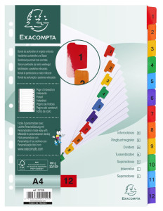 EXACOMPTA carton registre 1-31, A4, blanc, 31 pièces
