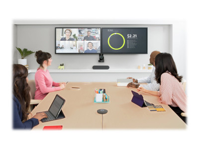 Logitech : RALLY SPEAKER - GRAPHITE N/A - WW
