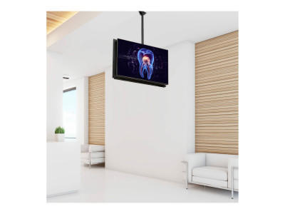 Startech : CEILING TV MOUNT BACK-TO-BACK pour 32IN TO 75IN DISPLAYS/STEEL